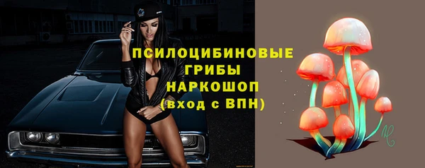 мяу мяу мука Абинск