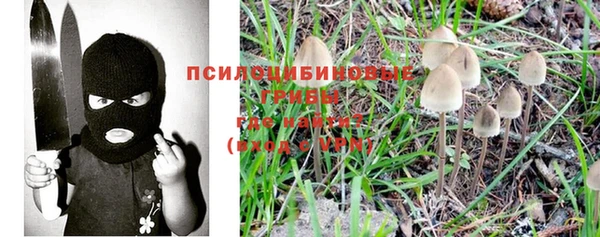 мдпв Абдулино