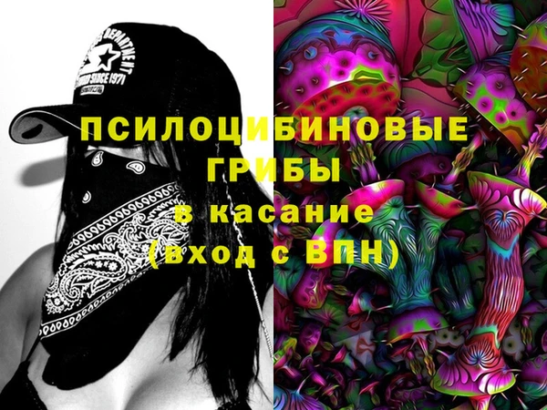 гидра Абаза