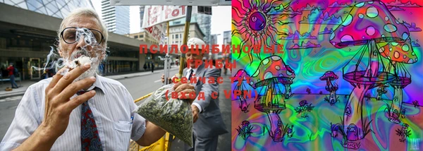 мяу мяу мука Абинск
