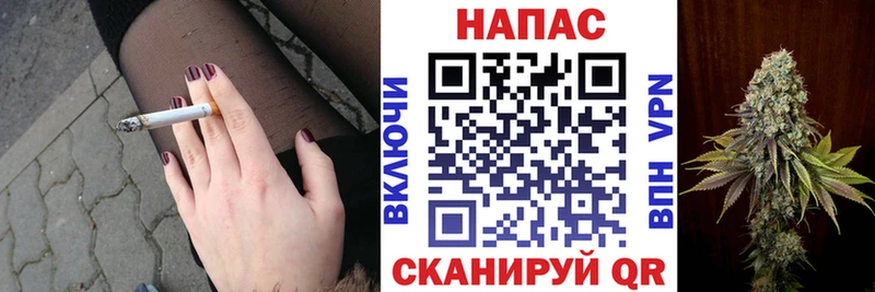 Каннабис конопля  закладки  Кисловодск 